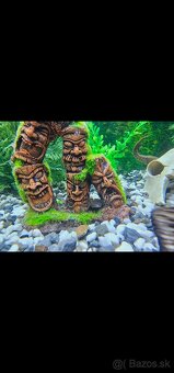 Akvarium JUWEL 180 - 5