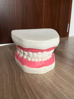 Dentálna hygiena - 5