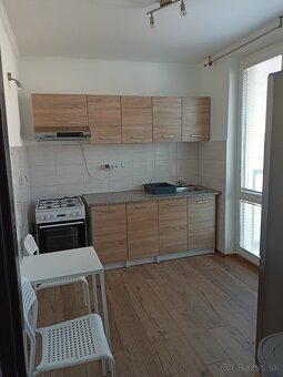 Velky 1i byt 42m2 - 5