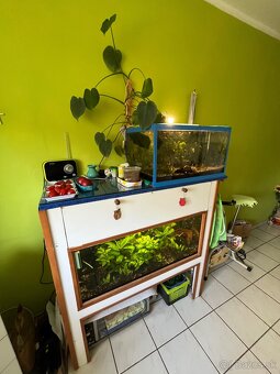 Ponuka akvárií - 5
