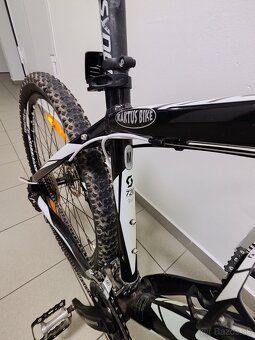 Scott - 5