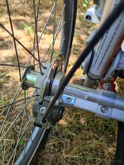Thule Chariot CX1 - 5