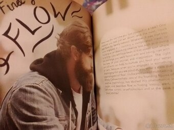 Knihy- mačky, zvieratá, levy, fínčina, Calm (v angličtine) - 5