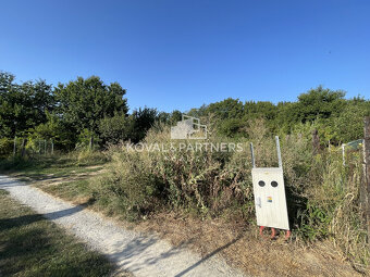 Záhrada v Nitre - v záhradkárskej oblasti - 5