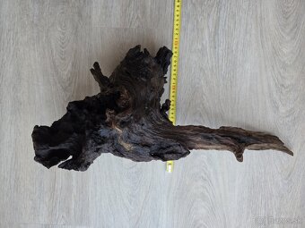 Koreň do akvária / terária - 5