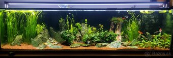LED osvetlenie akvária 200cm/120w - 5