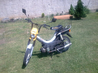 Korado manet Poliny 70 - 5