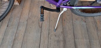 CAPRIOLO DIAVOLO 600/ 26“/19“ - 5