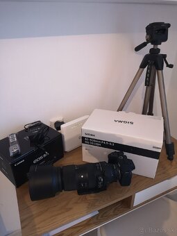 Canon r 7 + Sigma 60-600 - 5