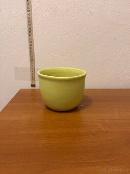 Kvetinče na predaj - 5