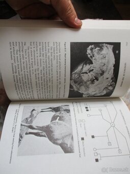 Genetics of the horse - 5