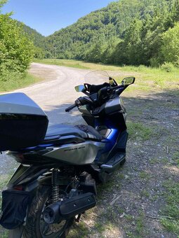 Honda forza 125 - 5