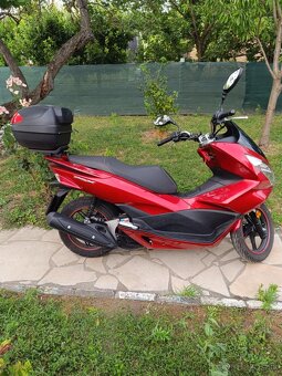 Honda pcx 125 - 5