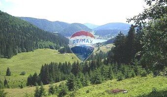 Krásny veľký pozemok 30 000m2 pri Palcmanskej maši, - 5