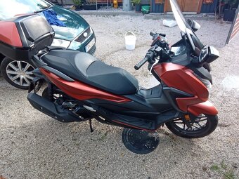 Honda FORZA 125 - 5