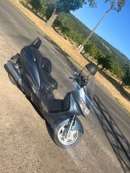 Predam Suzuki BURGMAN 400 - 5