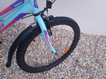 CTM Mony 24" - 5