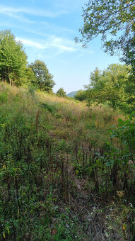STAVEBNÝ POZEMOK 2130 m2 PODKYLAVA + UPI - MYJAVA VOĽNÝ - 5