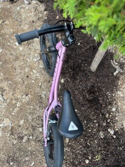 Rascal odrazadlo - 5