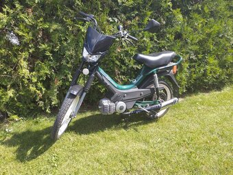 Korado manet - 5