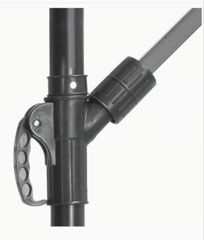 Slnečník záhradný - 5