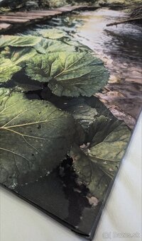 Fotoobraz zo Slovenského raja, oblasť Tomášovská Belá - 5