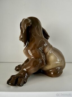 Porcelanovy pes Rosenthal jazvecik - 5