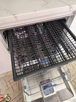 Beko aquaintense - 5