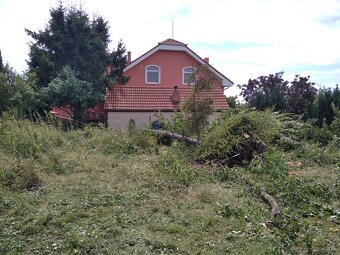 Čistenie a úpravy pozemkov - 5