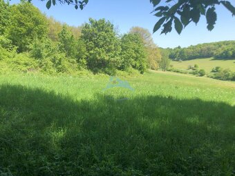 Pekný pozemok (3,2ha) na Hrušove okres Veľký Krtíš. - 5