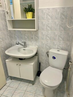 1izb byt s parkovanim a klimatizaciou v BA Nové Mesto - 5