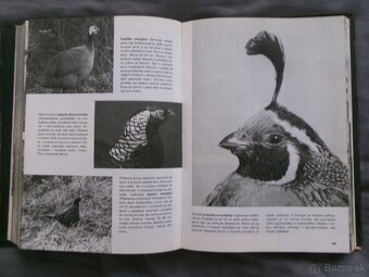 Veľký obrazový atlas zvierat - Václav Jan Staněk. - 5