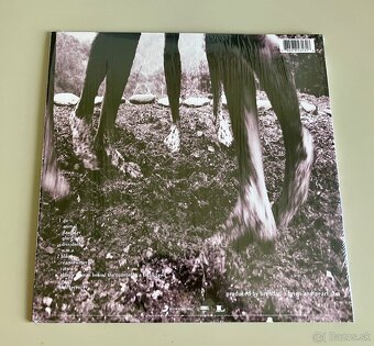 LP Pearl Jam - Vs. - 5