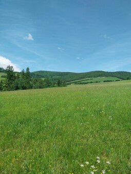 Predám pozemky pod Magurou - 5