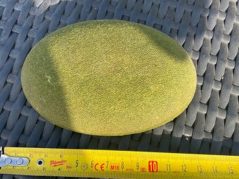 starožitna miska Rakúsko Uhorsko - 5