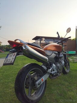 Honda Hornet 600 71kw pc36 r.v.2005 - 5