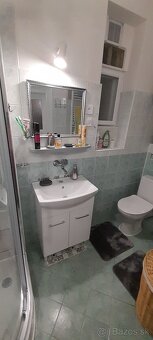 Prenájom 1.5 izbovy byt Malá Praha 2 - 5