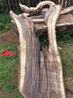 Orechove fosne, hrúbka 84mm - 5