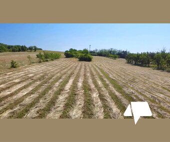 Predaj veľký stavebný pozemok Čaradice- 4899 m2 s platným st - 5