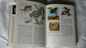 Svet živočíšnej ríše - 608 strán , ilustrovaná - 5