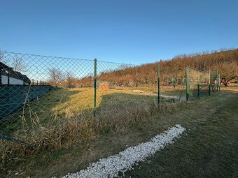 Predaj: pozemok v záhradkársej oblasti na Borine, Nitra - 5