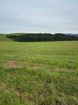 Pozemok na predaj obec Chmeľovec okr. Prešov - 5