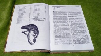 Chameleoni - Petr Nečas - 5