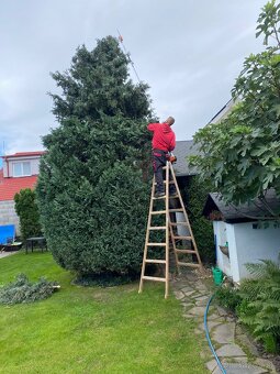 Kosenie/Strihanie/Údržba zelene/Pílenie /Drvenie - 5