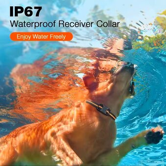 Profi Elektrický výcvikový obojok GPT 01 PRO. - 5