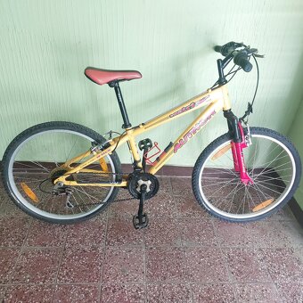 Bicykel Author 24 - 5