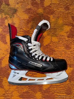 Korčule Bauer Vapor X500 Sr 10.5 / 44.5 - 5