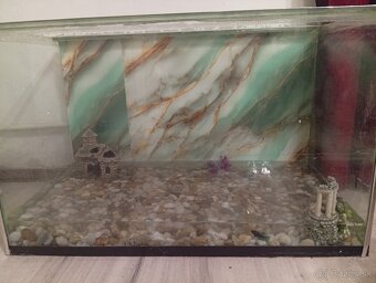 Predám vodné korytnačky - 5