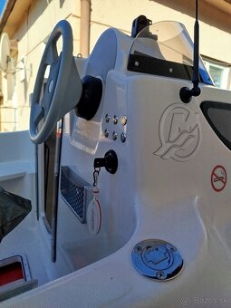 Quicksilver flamingo - 5