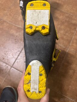 Lyže a lyžiarky - 5